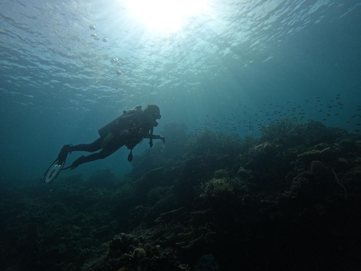 Apo Reef Dive Expedition | 3 Days, 2 Nights, 11 Dives
