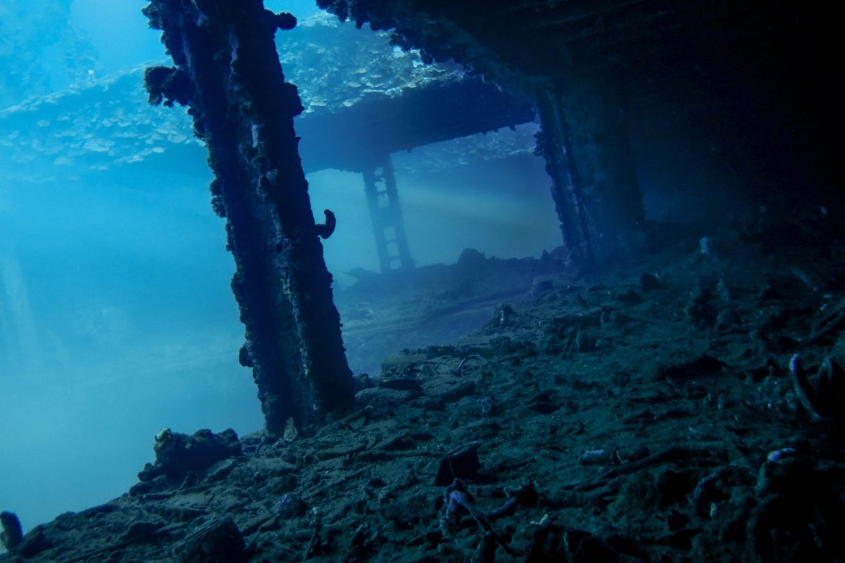 PADI Wreck Diver Specialty Course | 4 Dives
